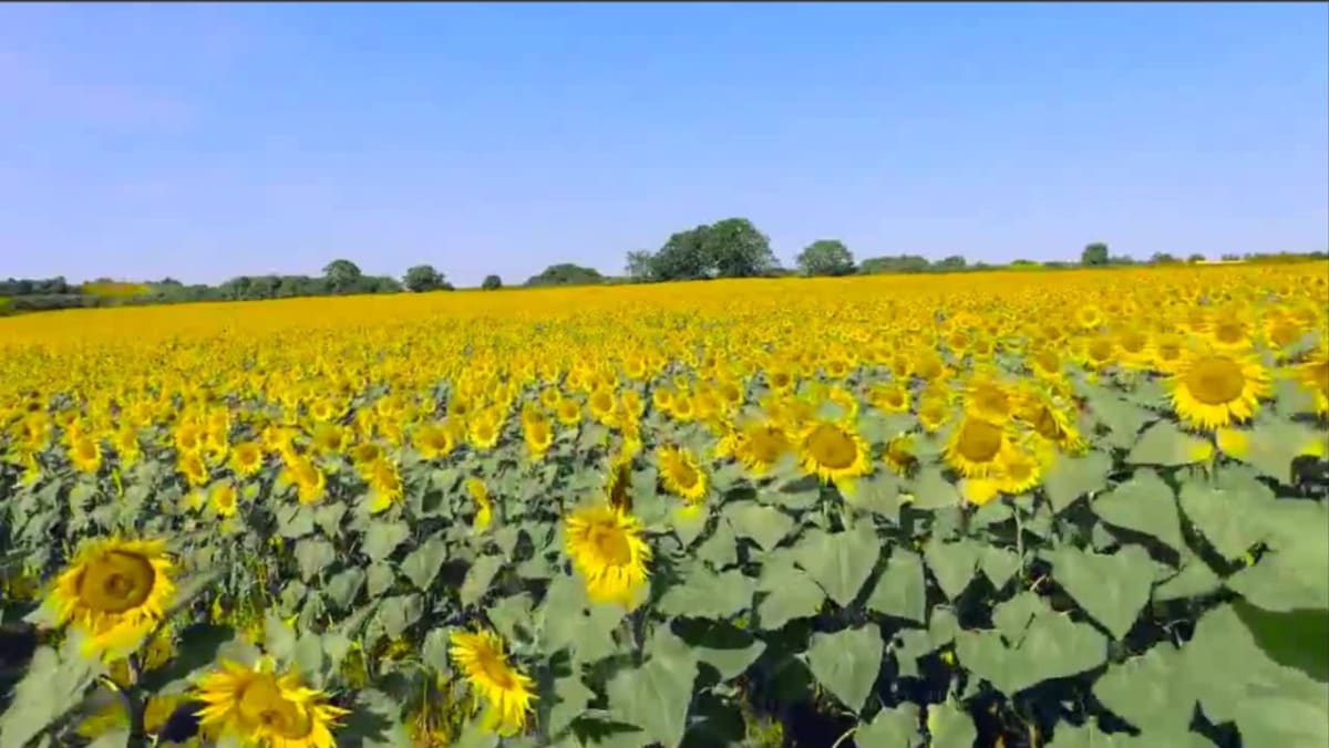 'Lowmoderate' child abuse cases up amid greater awareness about